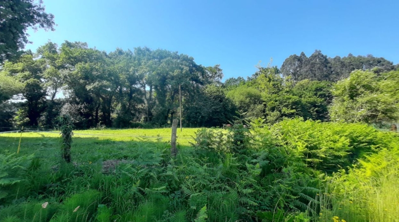 Cantabria - Escalante - 1200m2