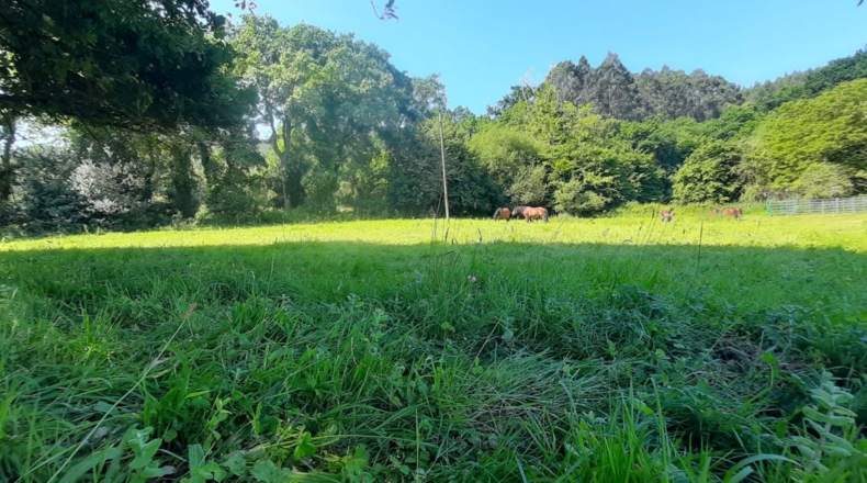 Cantabria - Escalante - 1200m2