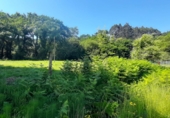 Non-developable land for sale on España, Escalante, ref: TR410486 photo