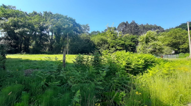 Cantabria - Escalante - 1200m2