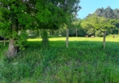 Non-developable land for sale on España, Escalante, ref: TR410486 photo