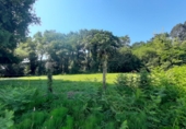 Non-developable land for sale on España, Escalante, ref: TR410486 photo