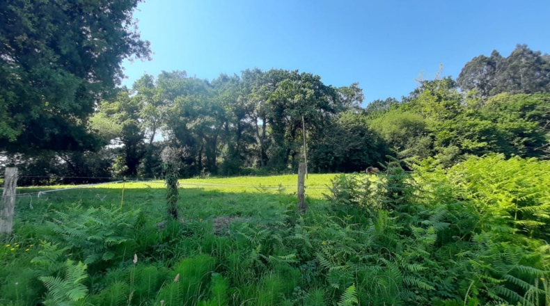 Cantabria - Escalante - 1200m2