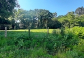 Non-developable land for sale on España, Escalante, ref: TR410486 photo