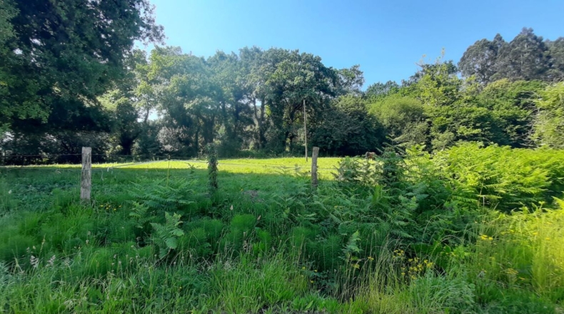 Cantabria - Escalante - 1200m2