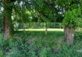 Non-developable land for sale on España, Escalante, ref: TR410486 photo