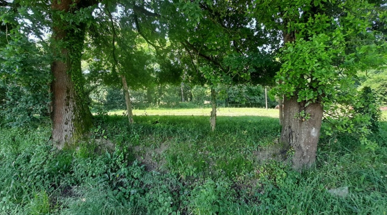 Cantabria - Escalante - 1200m2