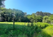Non-developable land for sale on España, Escalante, ref: TR410486 photo