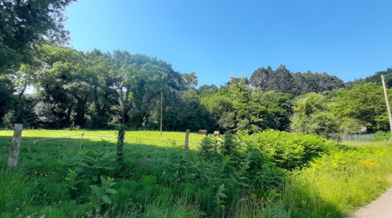 Cantabria - Escalante - 1200m2
