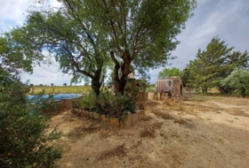 Foto 17