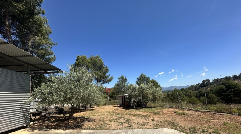 Кастельон - Sot de Ferrer - 4084m2