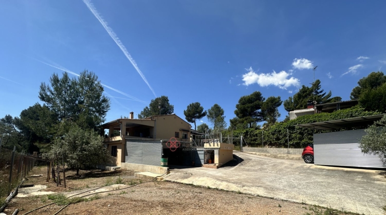 Кастельон - Sot de Ferrer - 4084m2