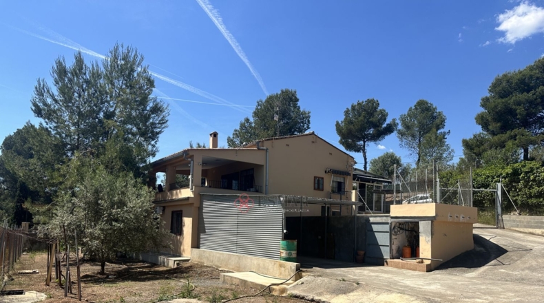 Кастельон - Sot de Ferrer - 4084m2