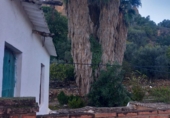 Finca rústica en venta en Lanjarón ref: TR189184 foto