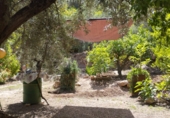 Finca rústica en venta en Lanjarón ref: TR189184 foto