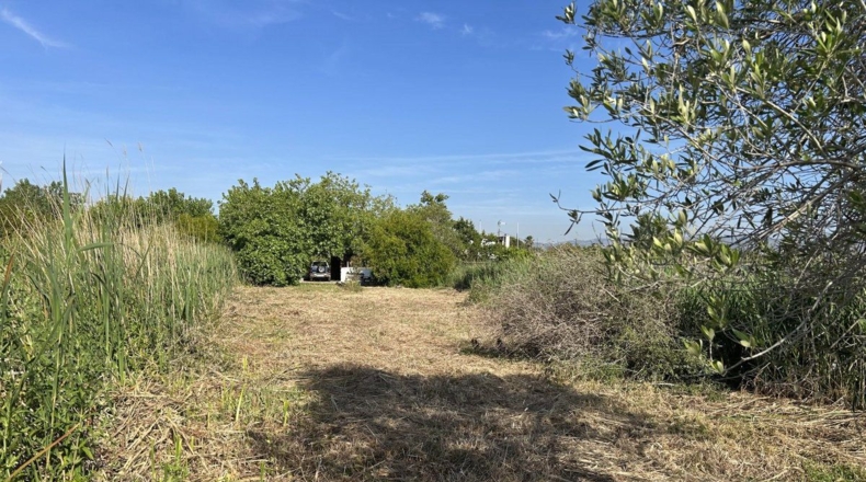Кастельон - Castellón de la Plana - 1363m2