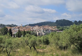 Móra la Nova 24111&nbsp;m² 