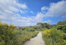 Móra la Nova 24111&nbsp;m² 