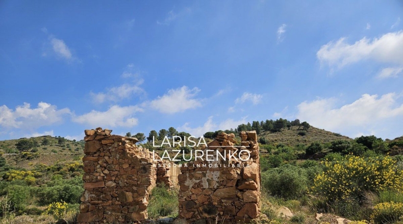 Tarragona - Móra la Nova - 24111m2