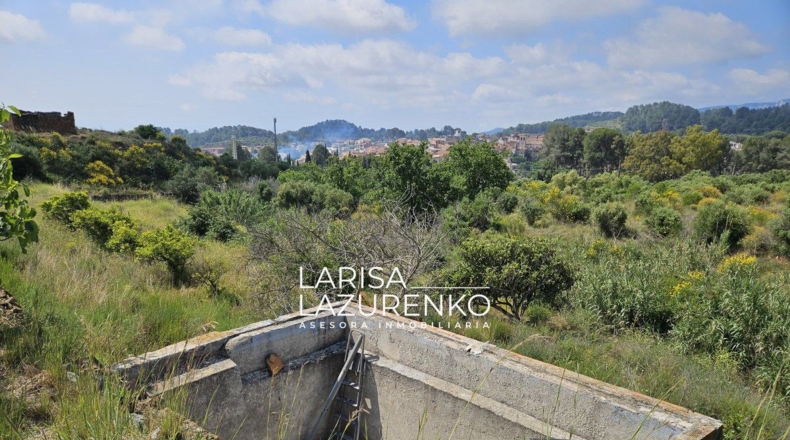 Tarragona - Móra la Nova - 24111m2