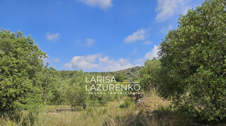 Tarragona - Móra la Nova - 24111m2