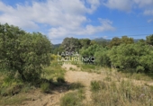 Terreno no urbanizable en venta en Móra la Nova ref: TR409185 foto