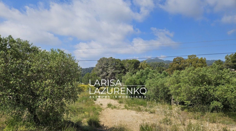 Tarragona - Móra la Nova - 24111m2