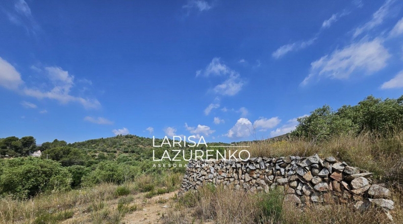 Tarragona - Móra la Nova - 24111m2
