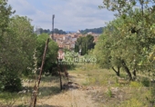 Terreno no urbanizable en venta en Móra la Nova ref: TR409185 foto