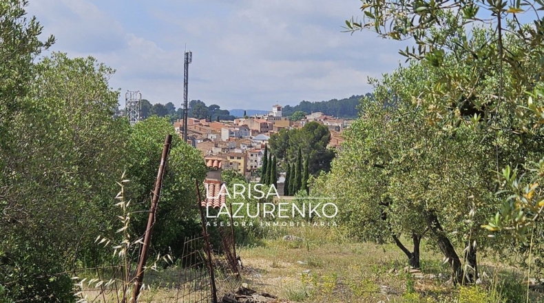 Tarragona - Móra la Nova - 24111m2