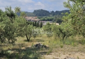Terreno no urbanizable en venta en Móra la Nova ref: TR409185 foto