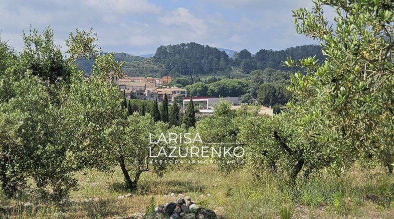 Tarragona - Móra la Nova - 24111m2