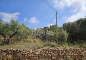 Terreno no urbanizable en venta en Móra la Nova ref: TR409185 foto