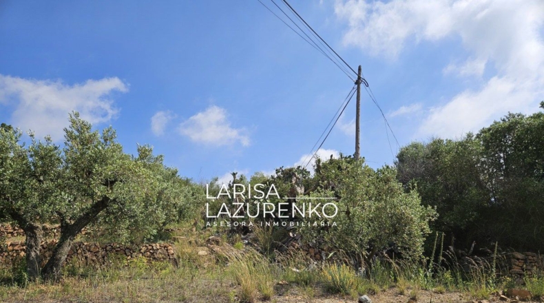 Tarragona - Móra la Nova - 24111m2