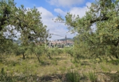 Terreno no urbanizable en venta en Móra la Nova ref: TR409185 foto