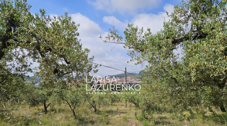 Tarragona - Móra la Nova - 24111m2