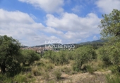 Terreno no urbanizable en venta en Móra la Nova ref: TR409185 foto