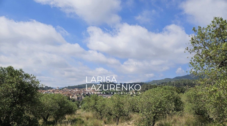 Tarragona - Móra la Nova - 24111m2