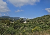 Terreno no urbanizable en venta en Móra la Nova ref: TR409185 foto