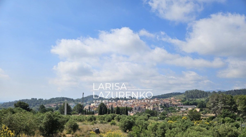 Tarragona - Móra la Nova - 24111m2