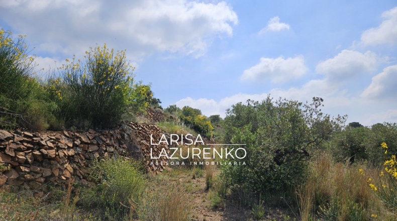 Tarragona - Móra la Nova - 24111m2