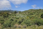 Terreno no urbanizable en venta en Móra la Nova ref: TR409185 foto