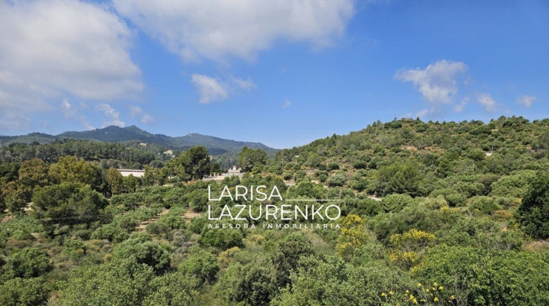 Tarragona - Móra la Nova - 24111m2
