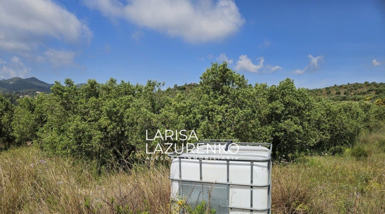 Tarragona - Móra la Nova - 24111m2