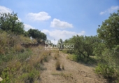 Terreno no urbanizable en venta en Móra la Nova ref: TR409185 foto