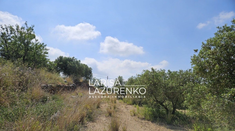 Tarragona - Móra la Nova - 24111m2