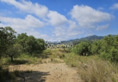 Terreno no urbanizable en venta en Móra la Nova ref: TR409185 foto