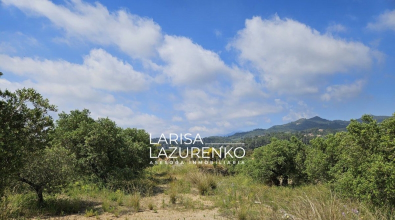 Tarragona - Móra la Nova - 24111m2