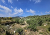 Terreno no urbanizable en venta en Móra la Nova ref: TR409185 foto