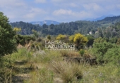 Terreno no urbanizable en venta en Móra la Nova ref: TR409185 foto